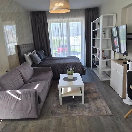 Apartamento Aisa 39 Studio&terrace *