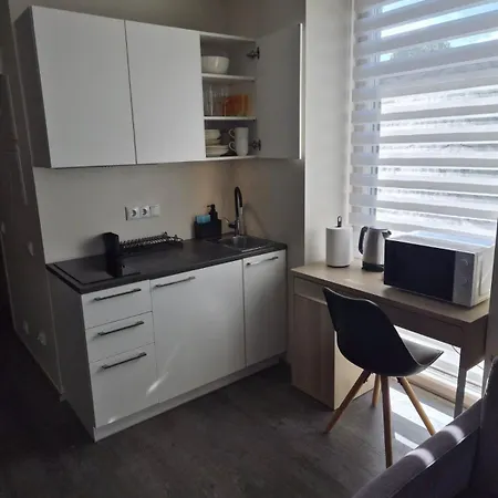 Apartamento Aisa 39 Studio&terrace
